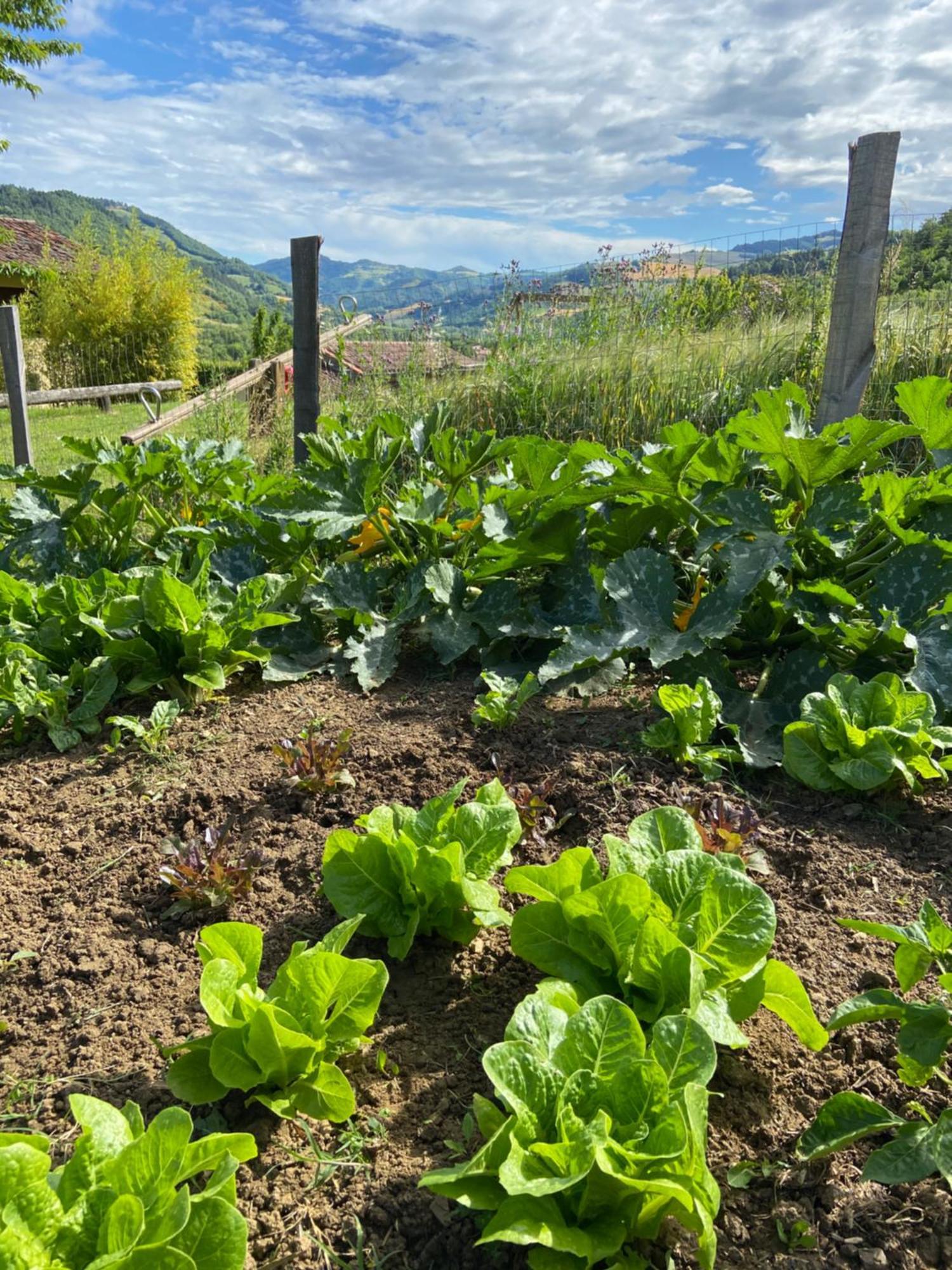 מראדי Agriturismo Popolano Di Sotto מראה חיצוני תמונה