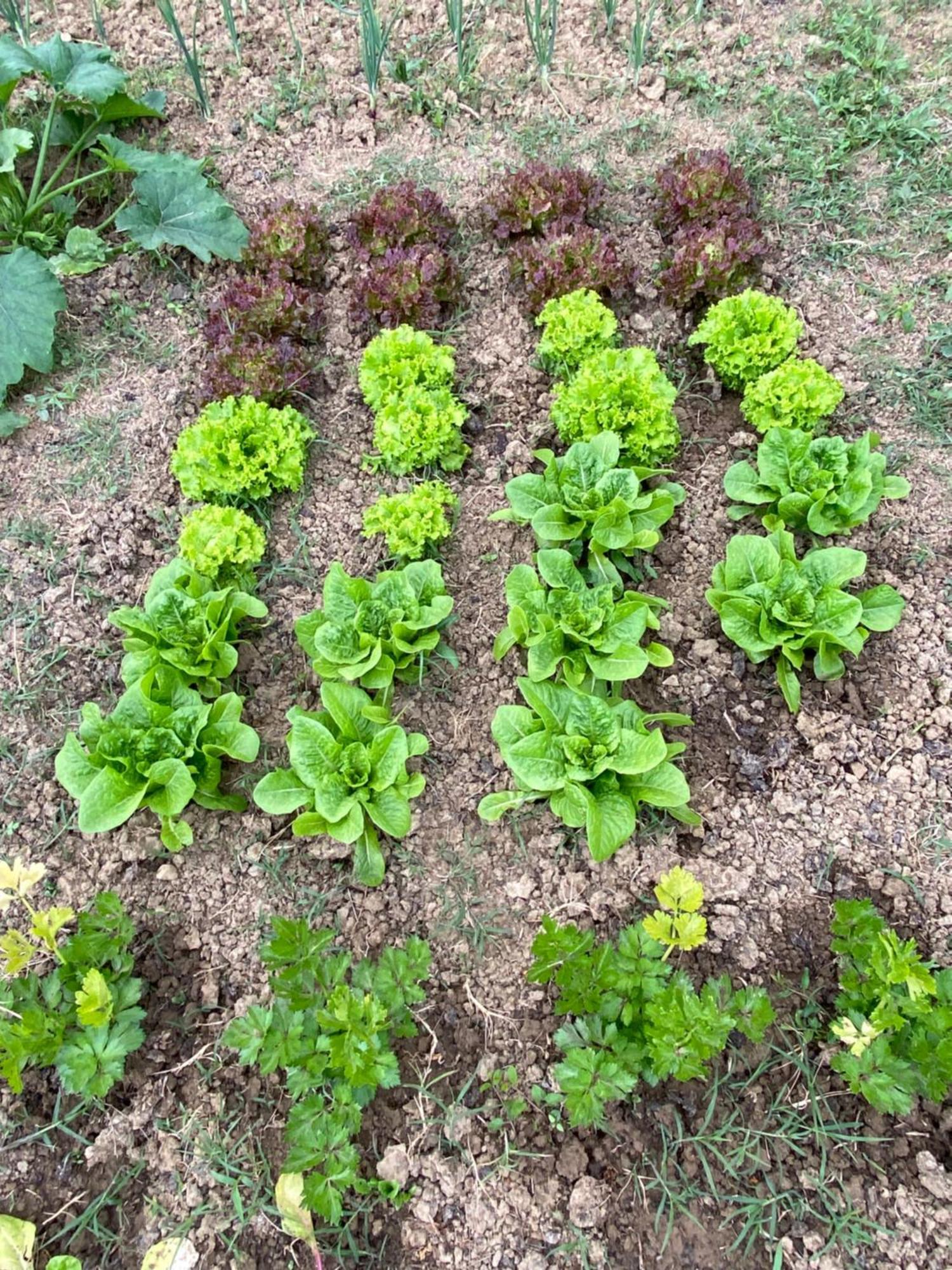 מראדי Agriturismo Popolano Di Sotto מראה חיצוני תמונה