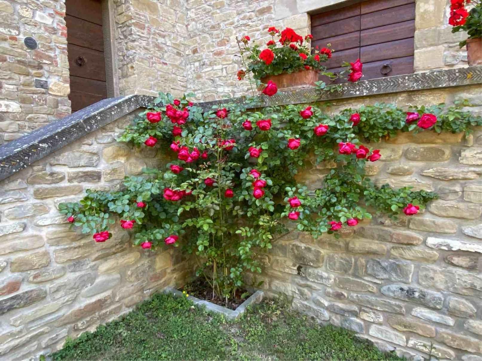 מראדי Agriturismo Popolano Di Sotto מראה חיצוני תמונה
